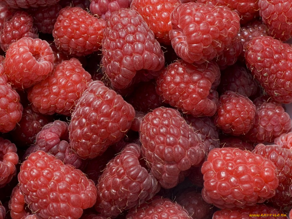 еда, малина