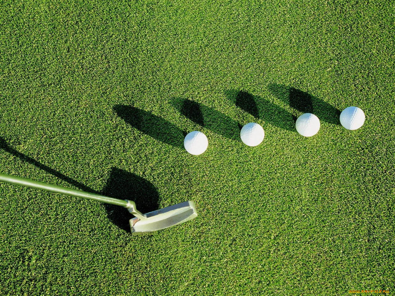 спорт, гольф