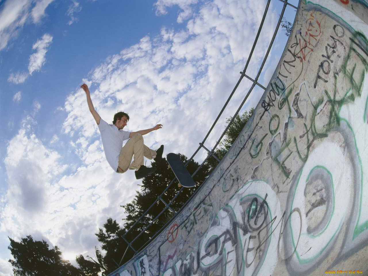 спорт, скейтборд