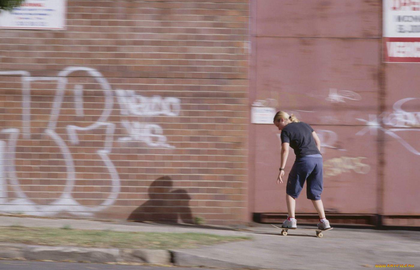 спорт, скейтборд