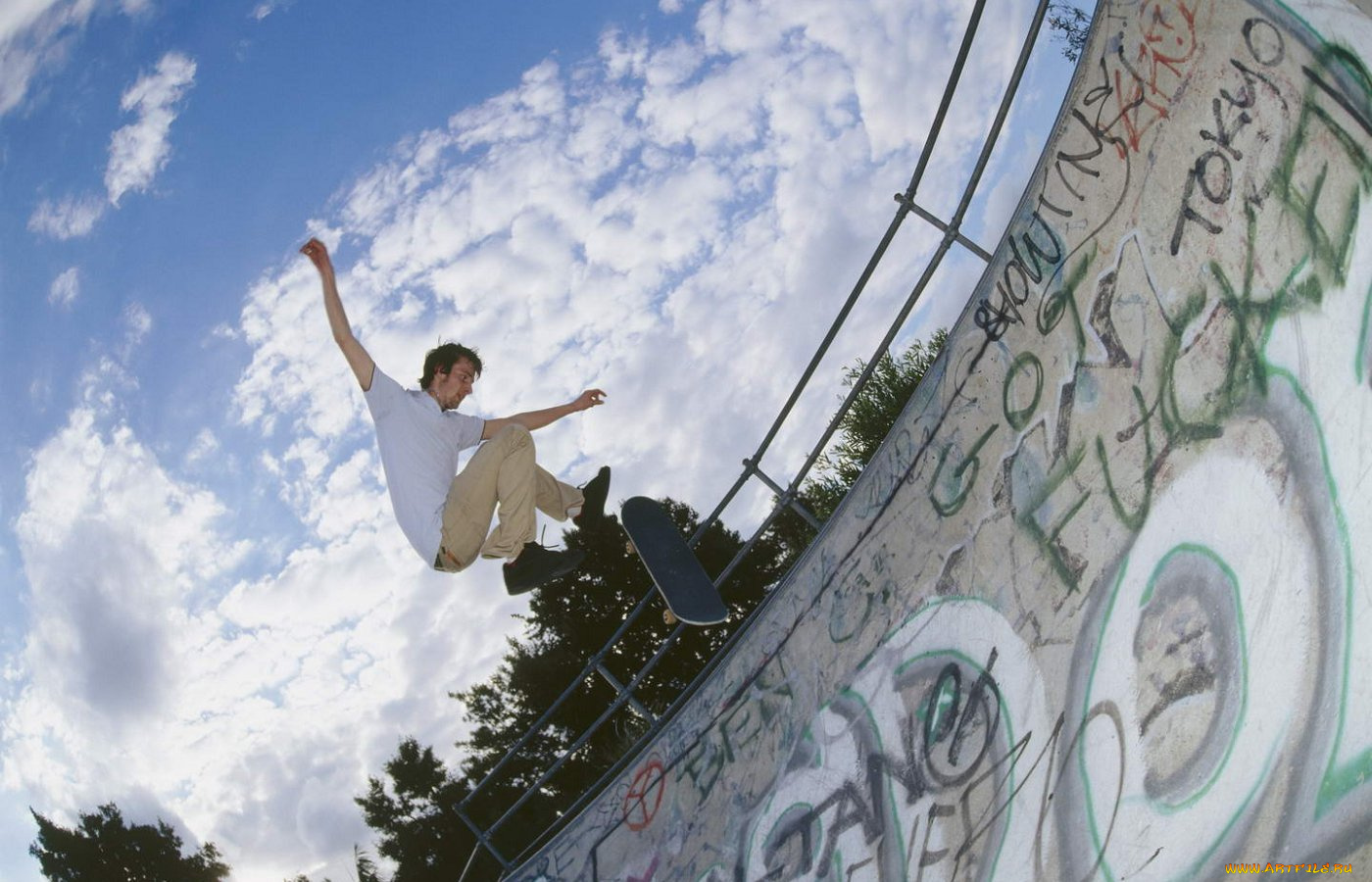 спорт, скейтборд