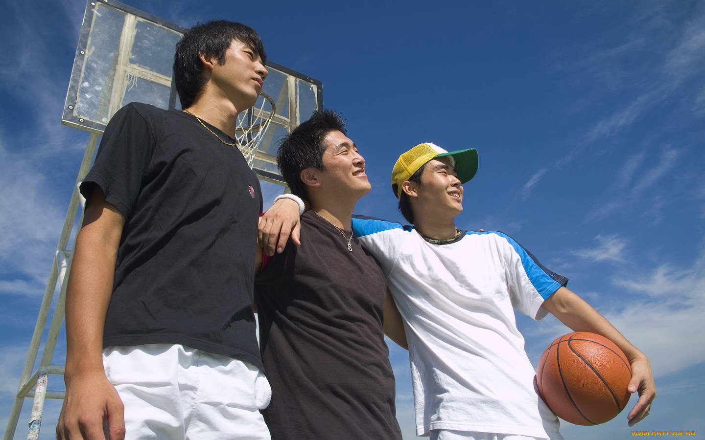 спорт, баскетбол