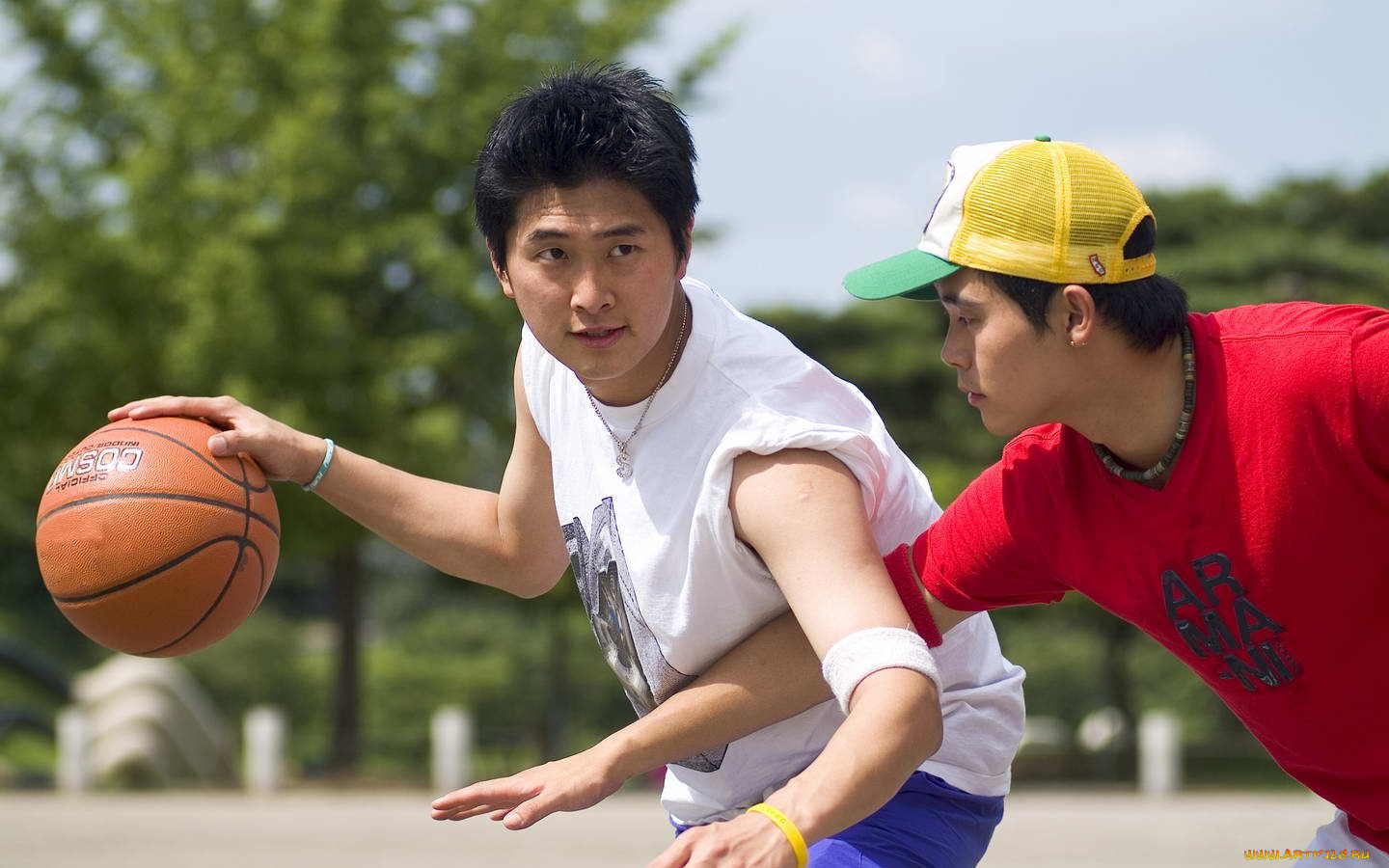 спорт, баскетбол