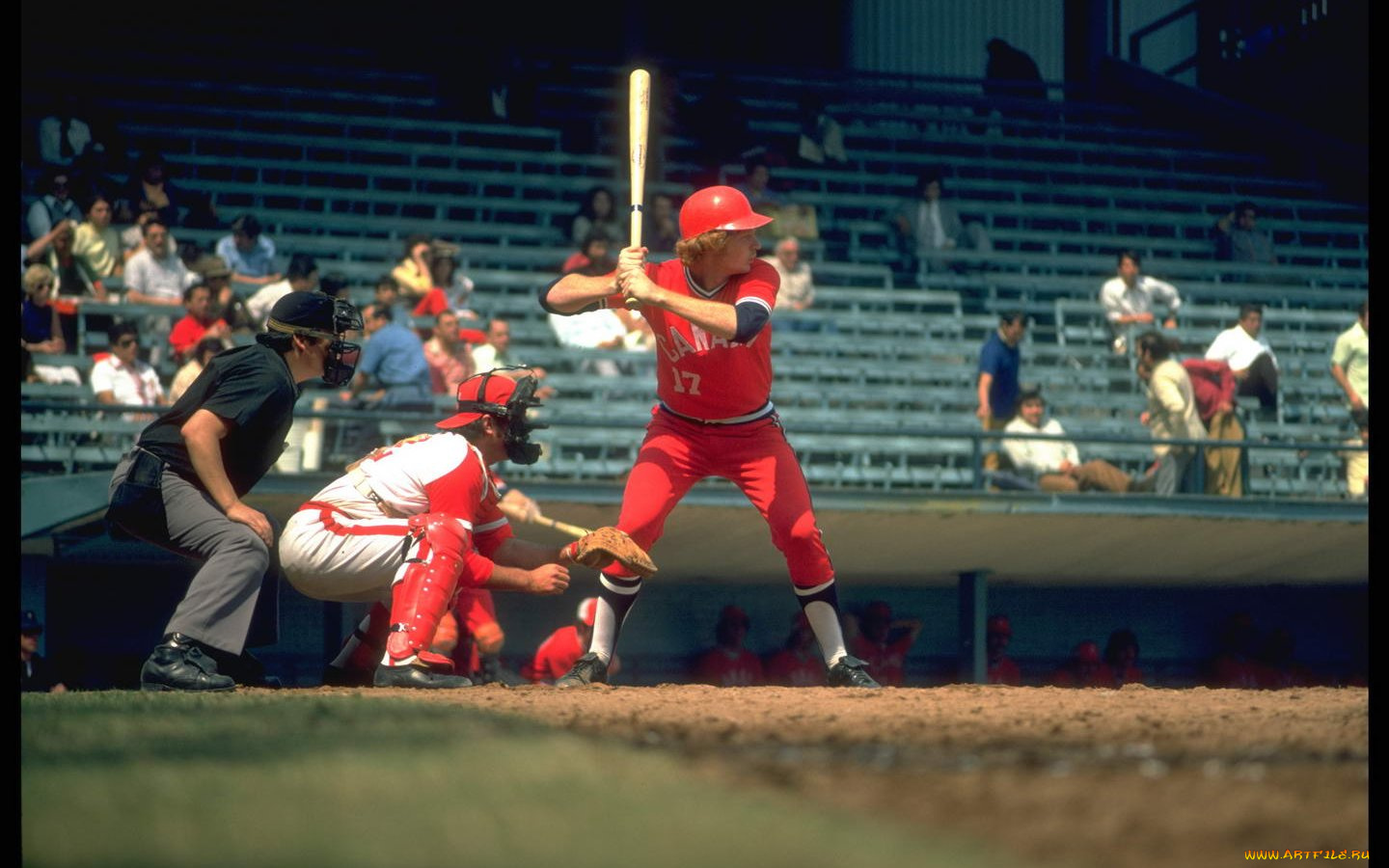 спорт, бейсбол