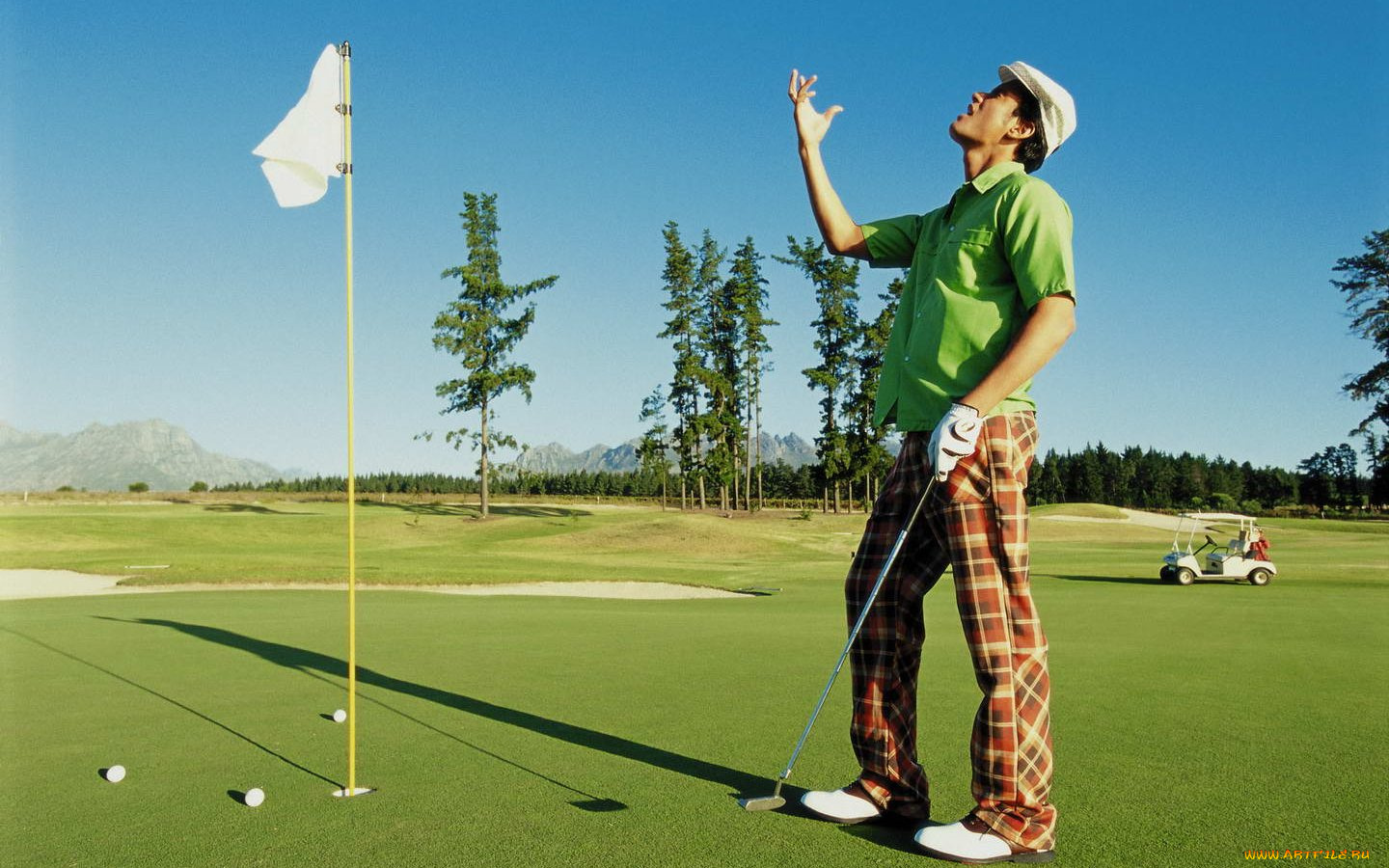 спорт, гольф
