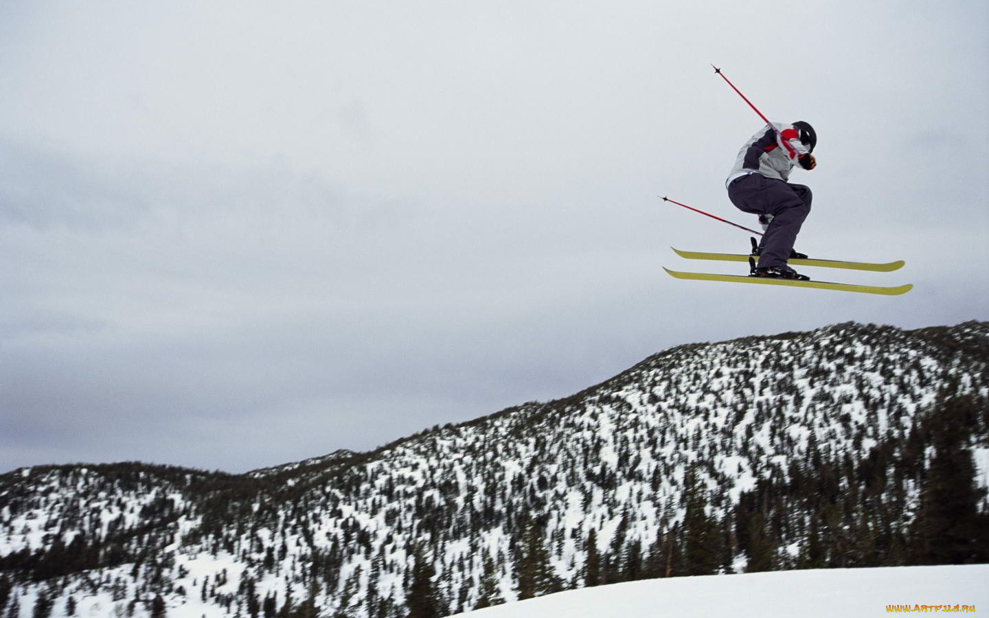 спорт, лыжный