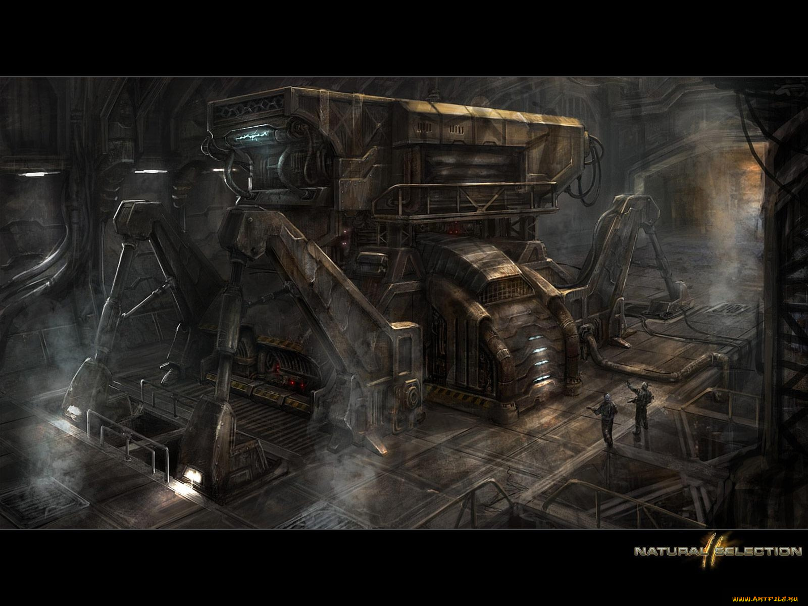 natural, selection, видео, игры