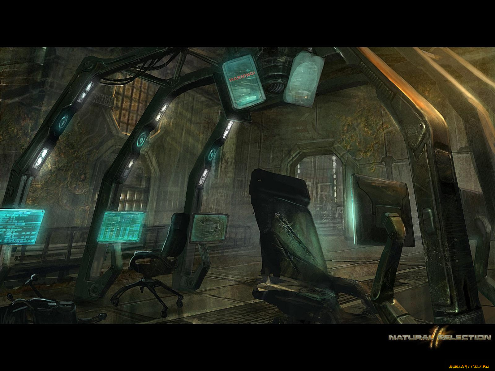 natural, selection, видео, игры