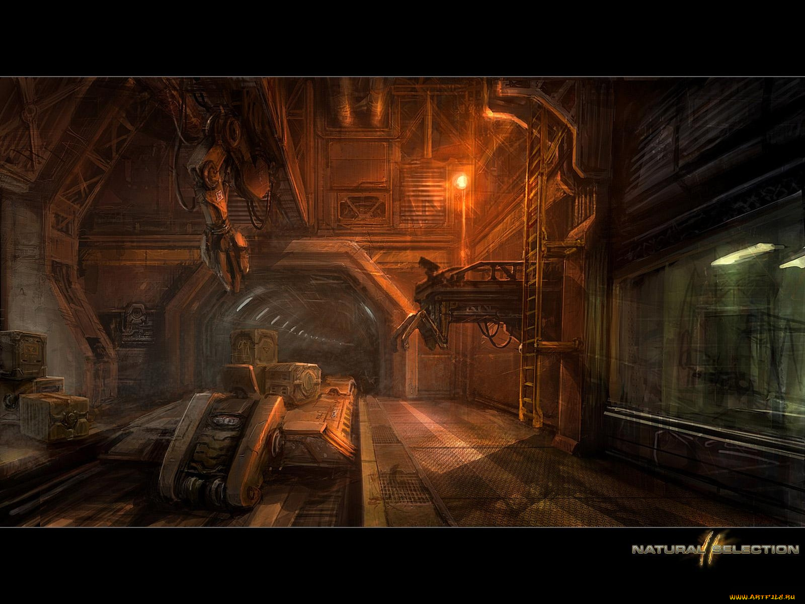 natural, selection, видео, игры