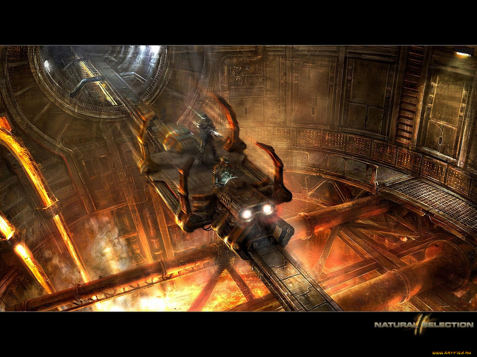 natural, selection, видео, игры