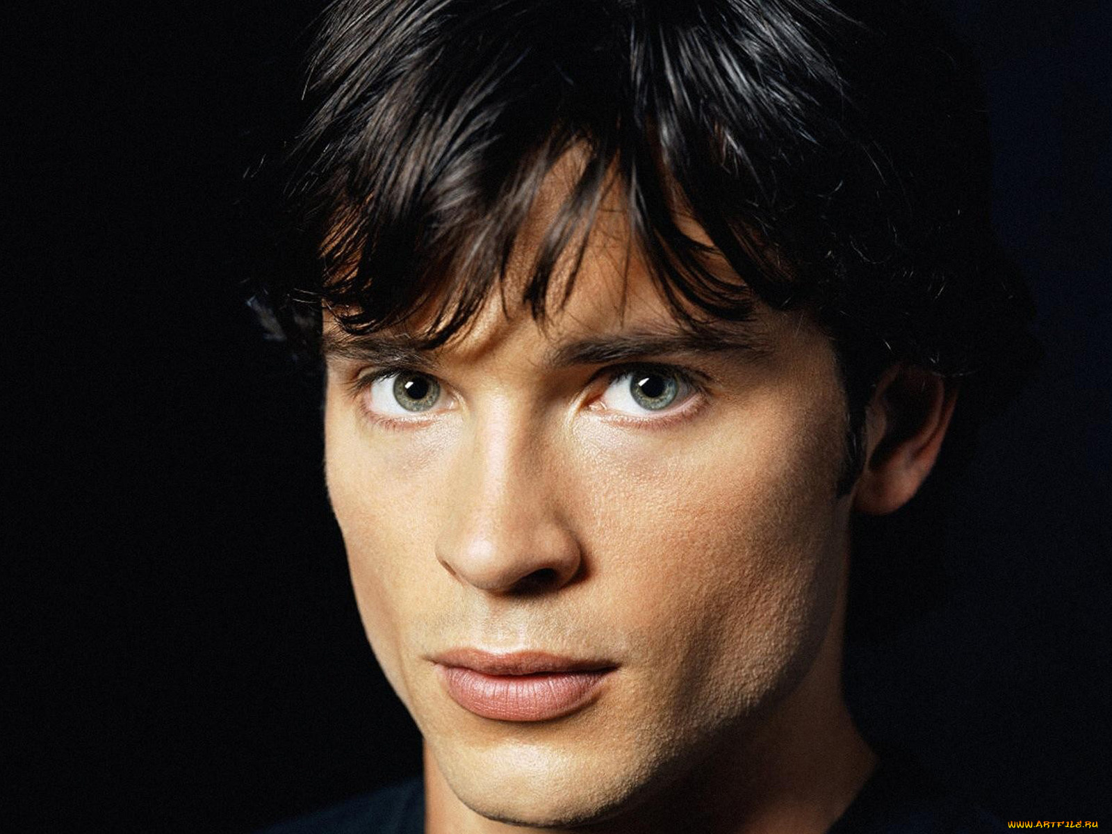 том, уэллинг, мужчины, tom, welling