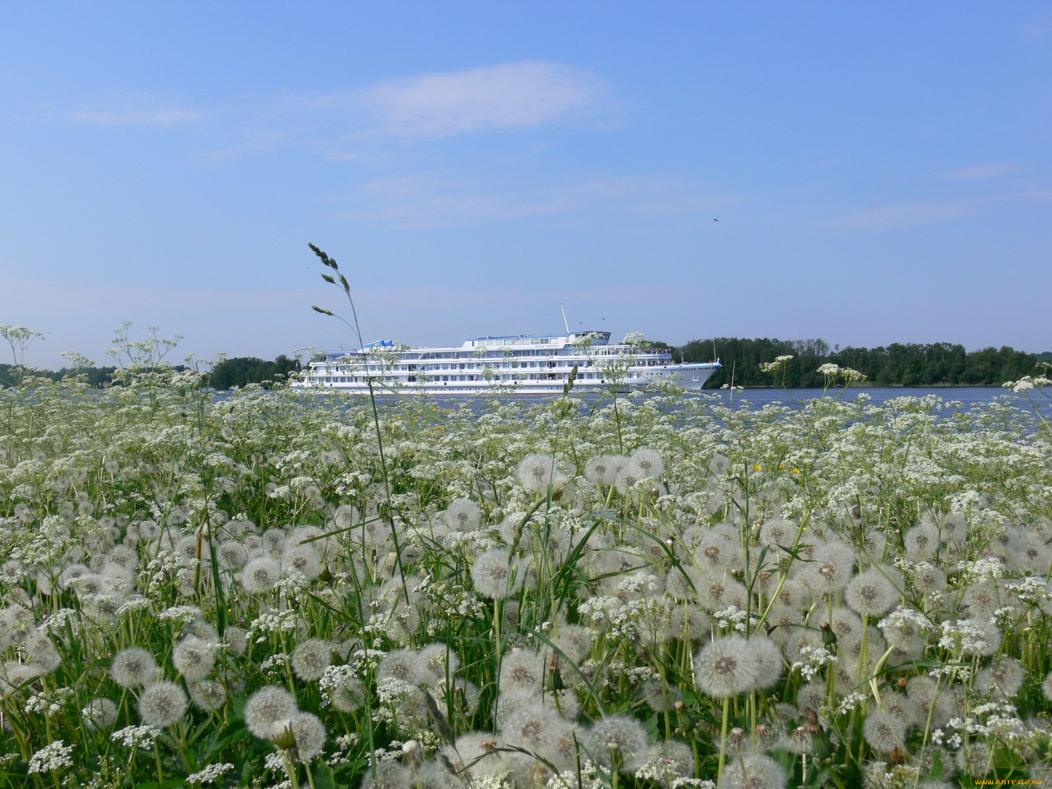 корабли, теплоходы