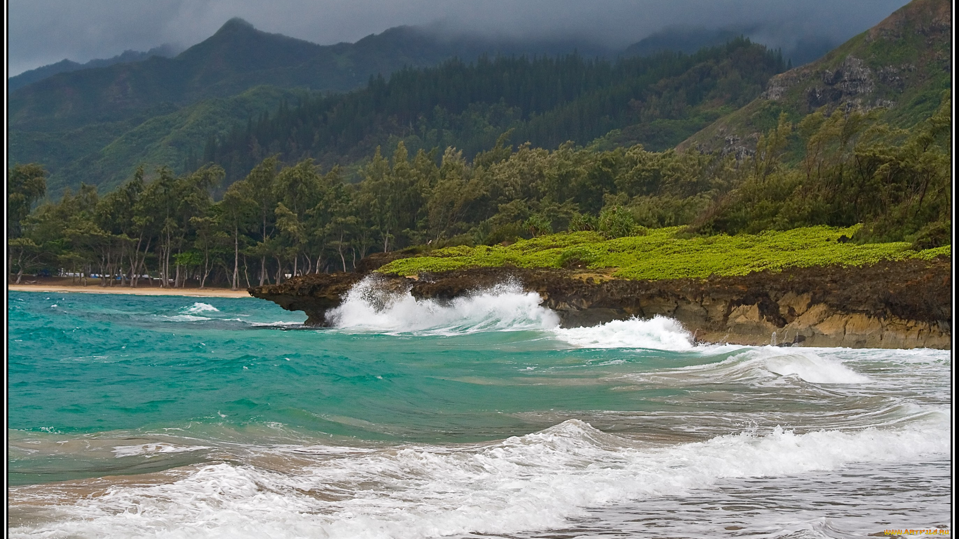 природа, побережье, берег, лес, волны