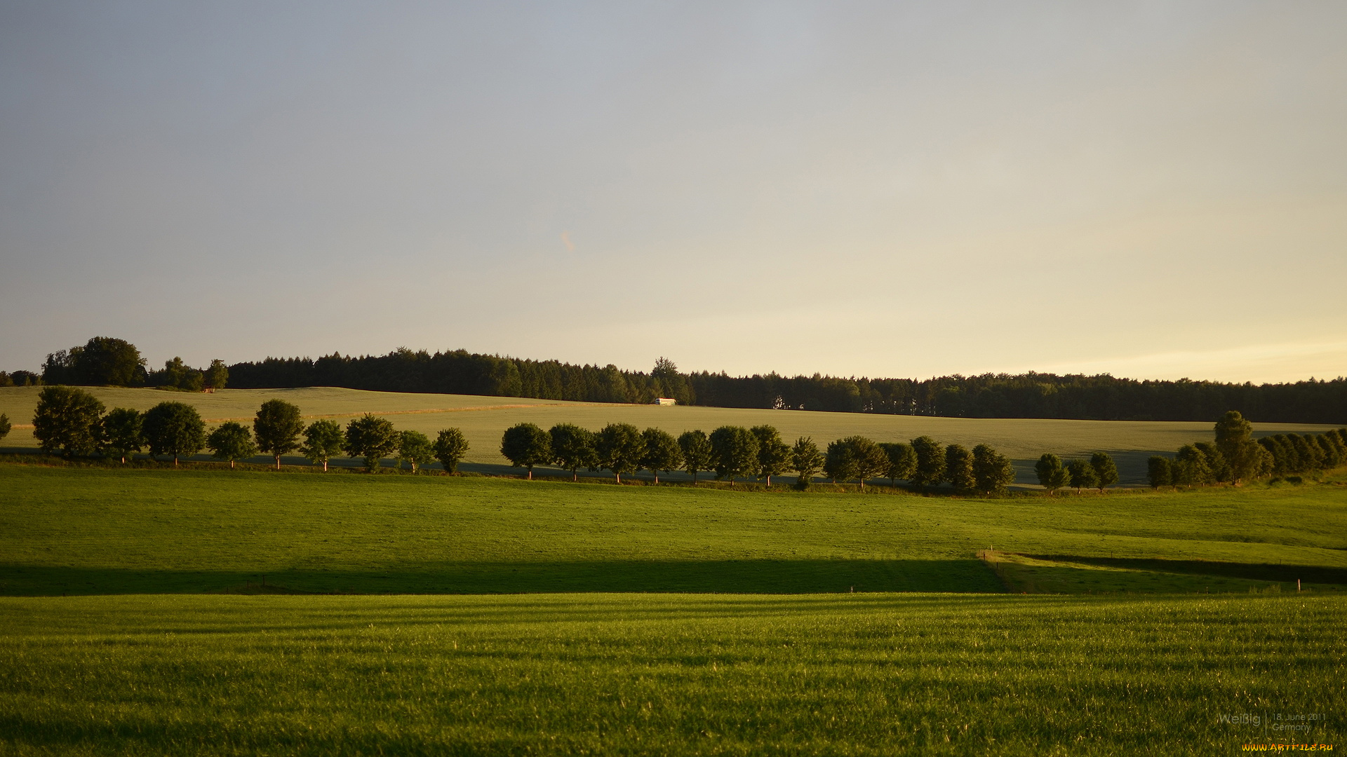 природа, поля, деревбя