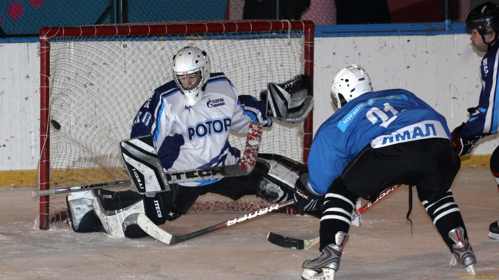 спорт, хоккей, гол