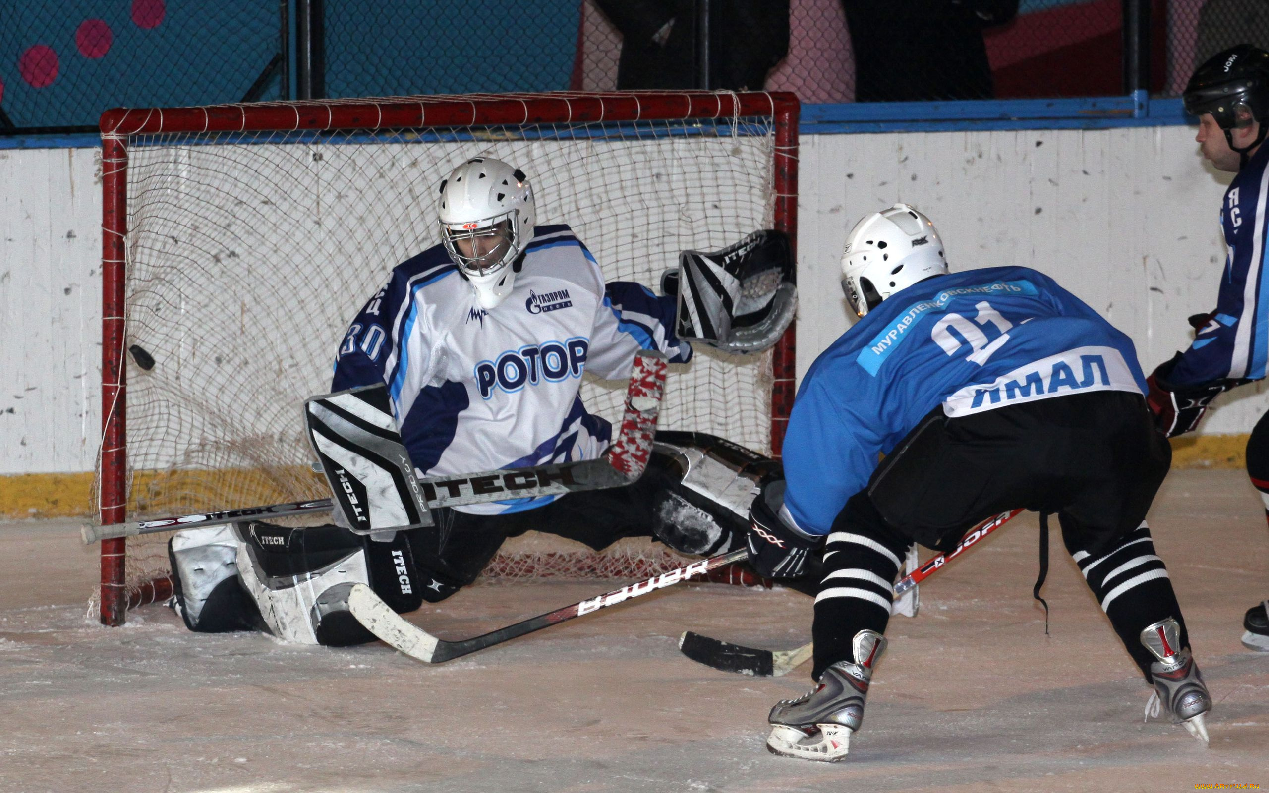 спорт, хоккей, гол