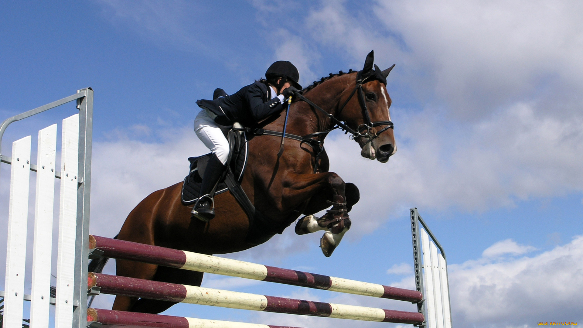 спорт, конный, препятствие, лошадь, наездник, прыжок