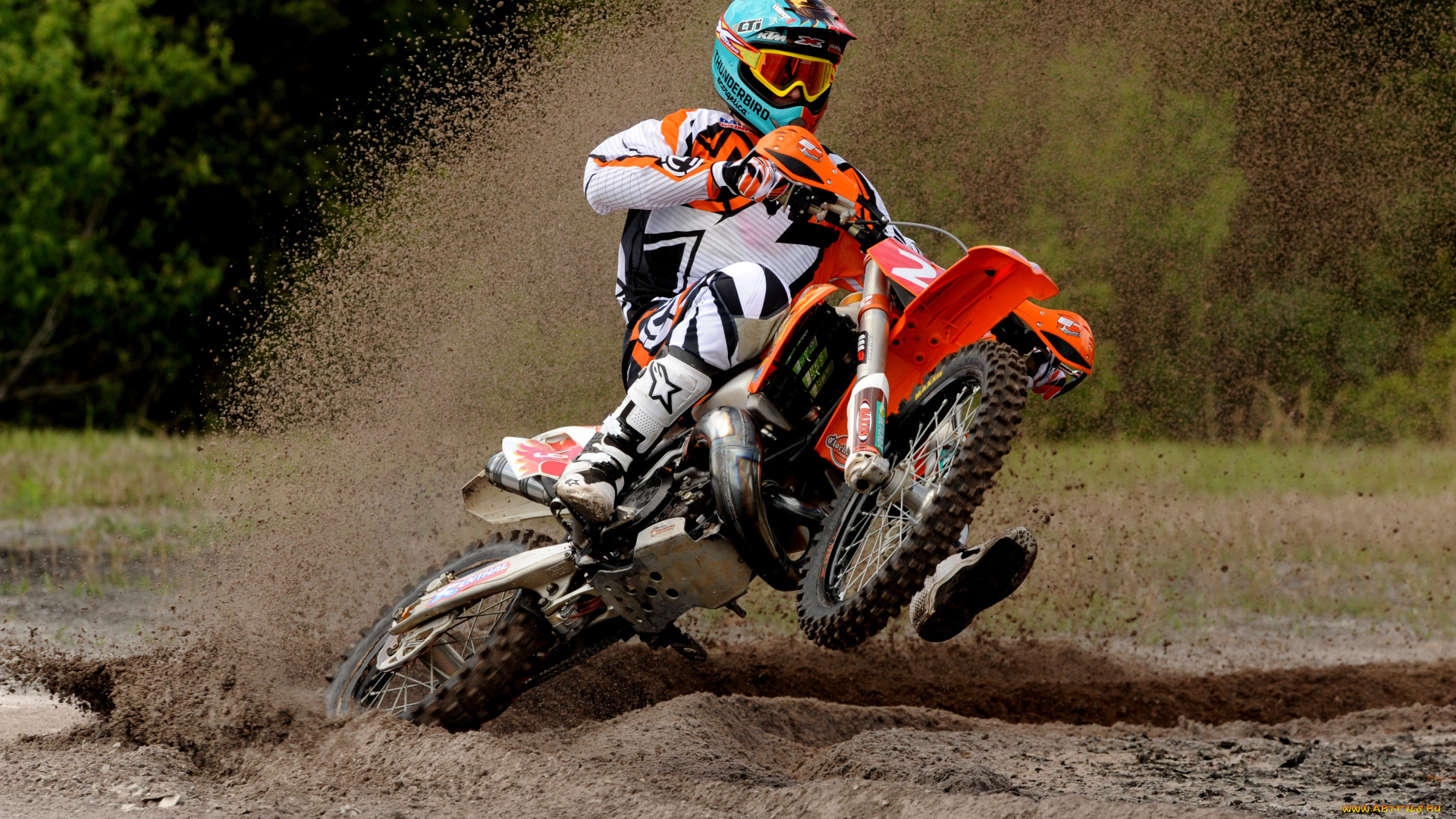 спорт, мотокросс