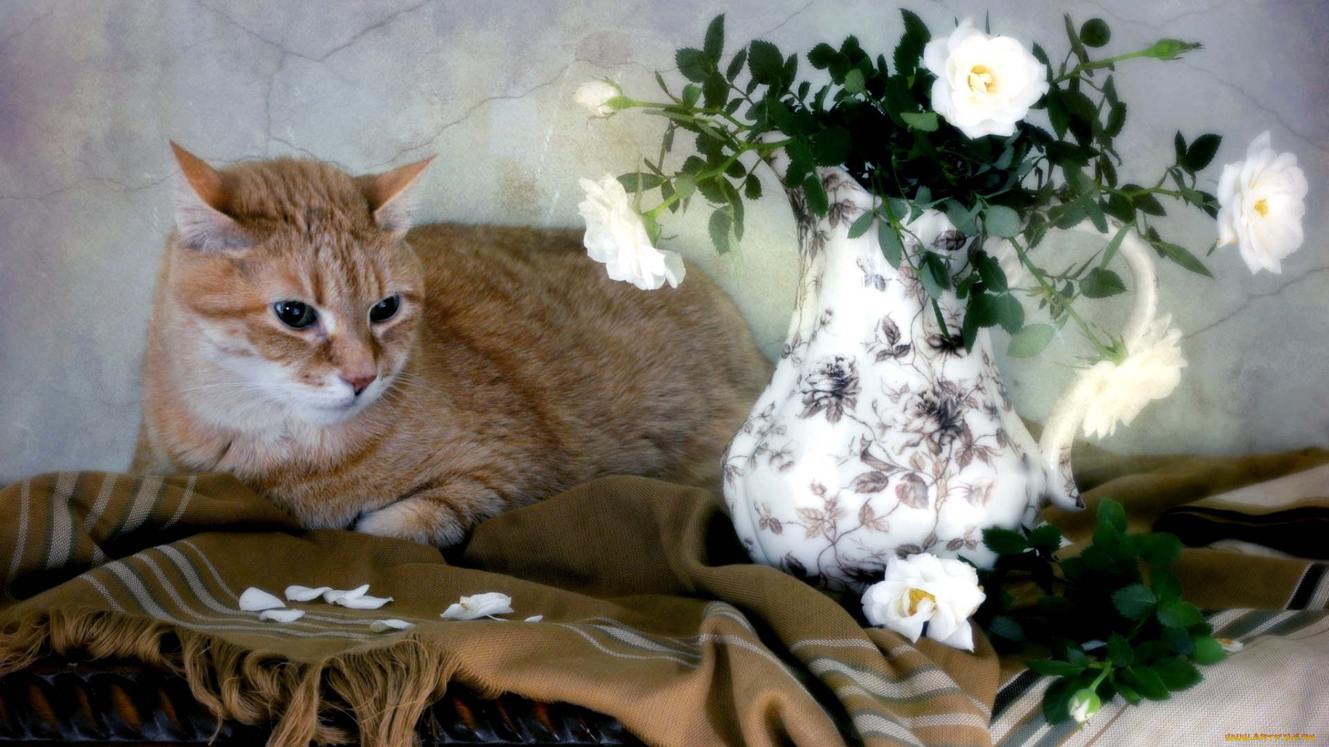 животные, коты, ваза, цветы, кот