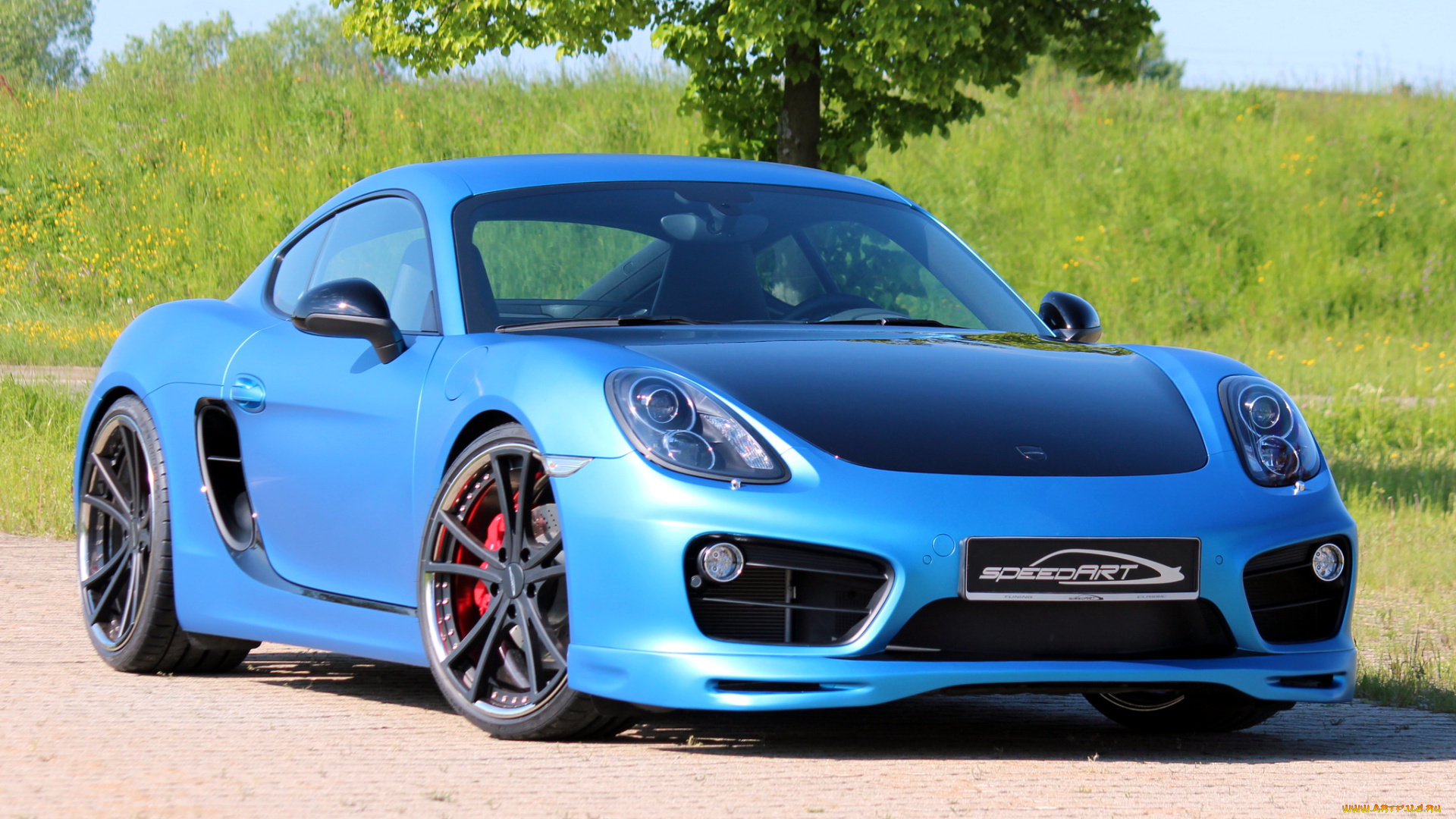 porsche, cayman, автомобили, элитные, спортивные, германия