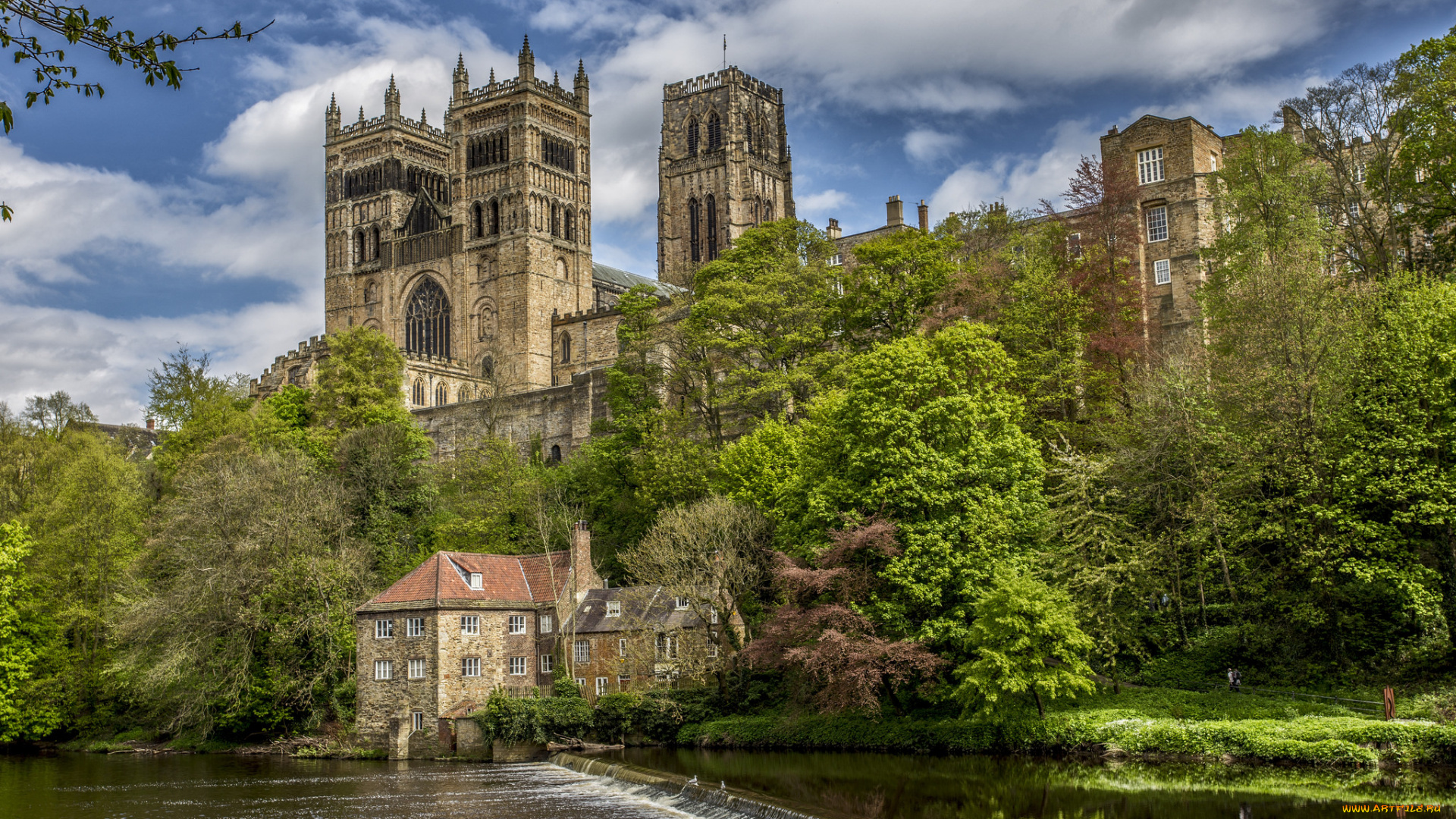 durham, cathedral, города, -, католические, соборы, , костелы, , аббатства, река, лес