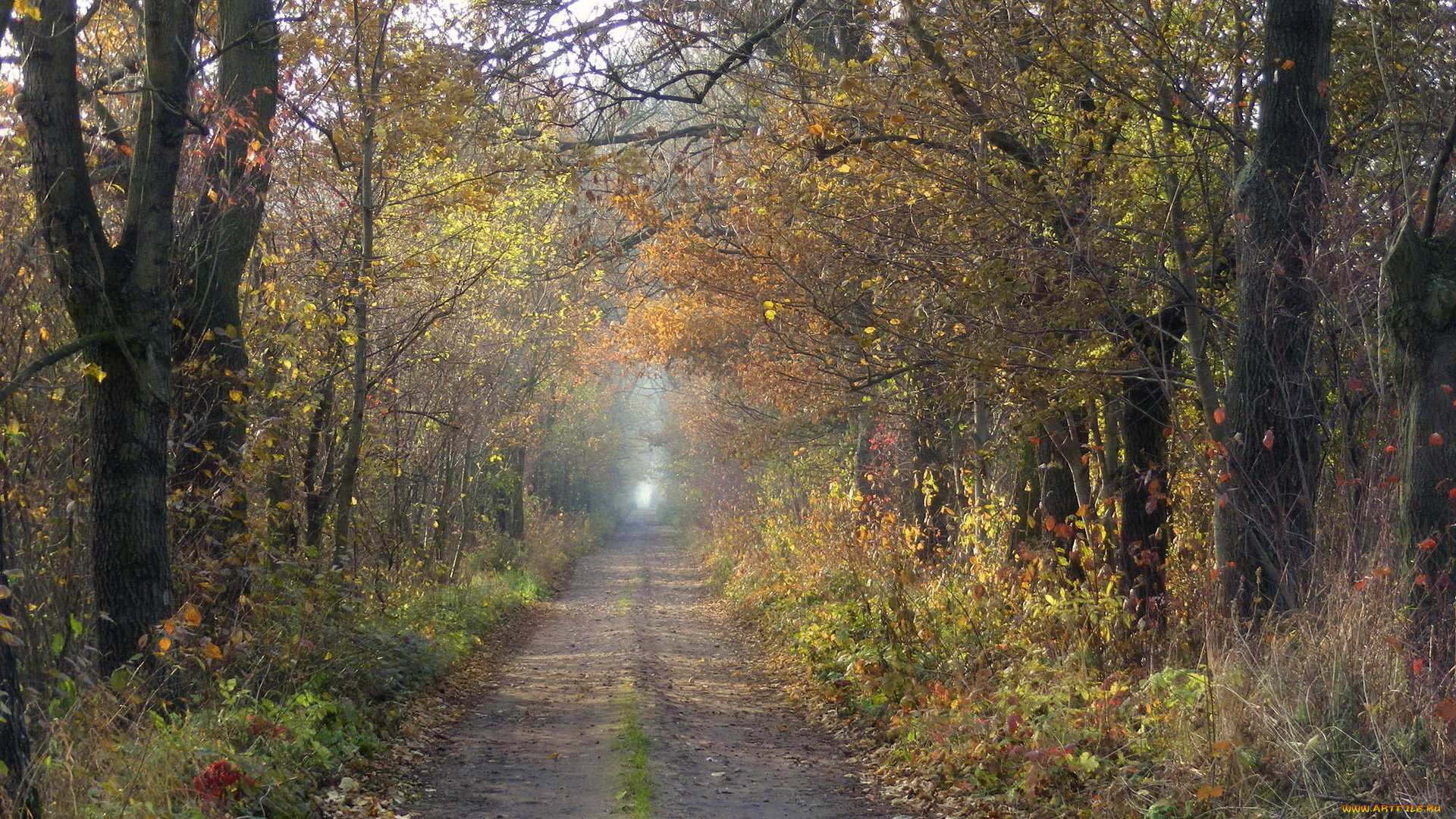 природа, дороги, осень, дорога