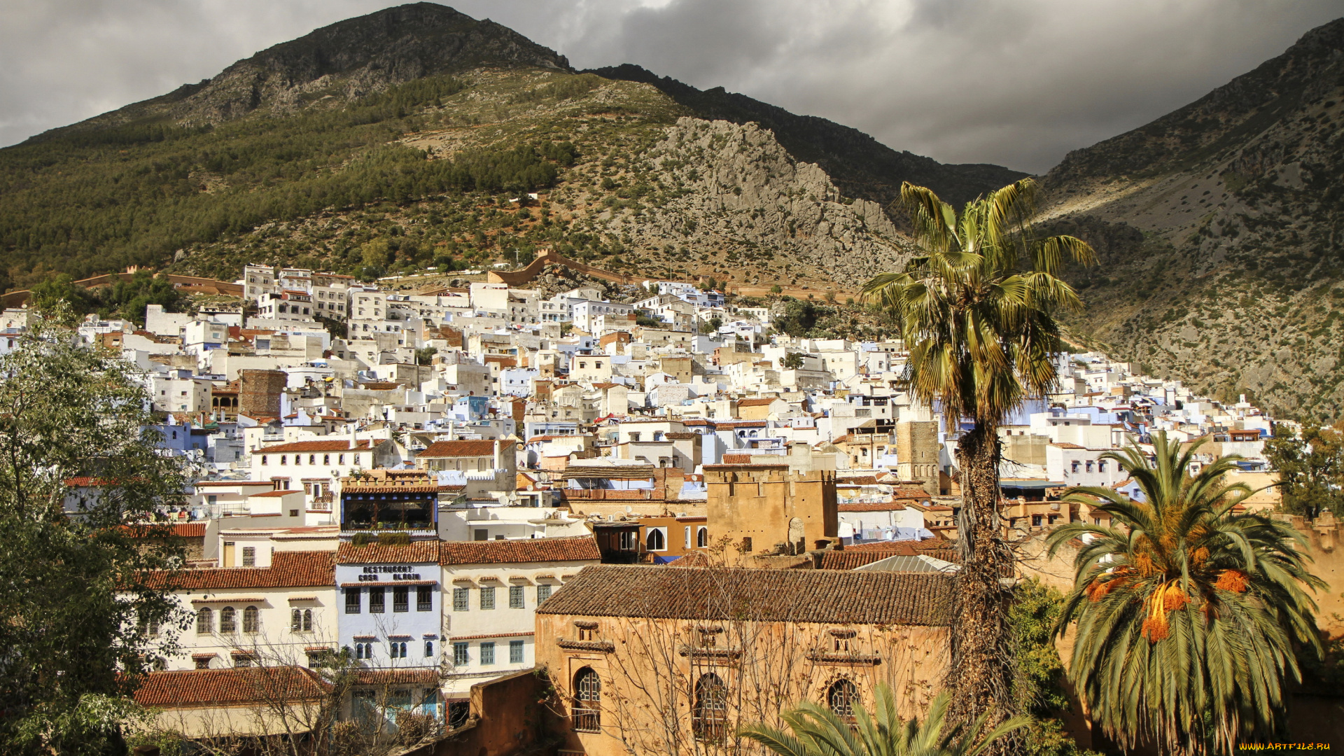 шефшауен, , марокко, города, -, панорамы, пальмы, горы, дома, марокко, шефшауен