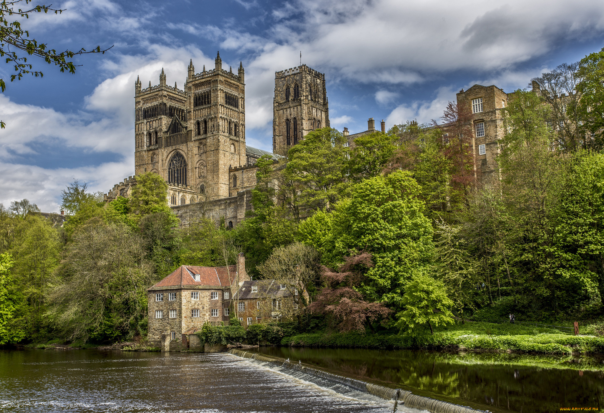 durham, cathedral, города, -, католические, соборы, , костелы, , аббатства, река, лес