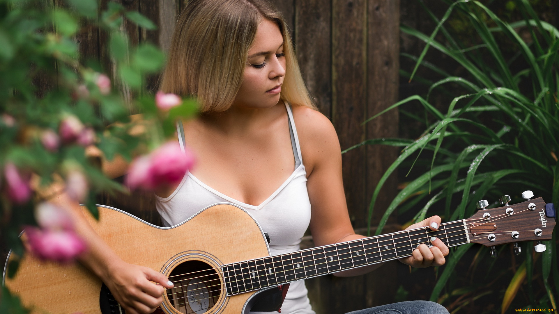 музыка, -, другое, розы, гитара, девушка