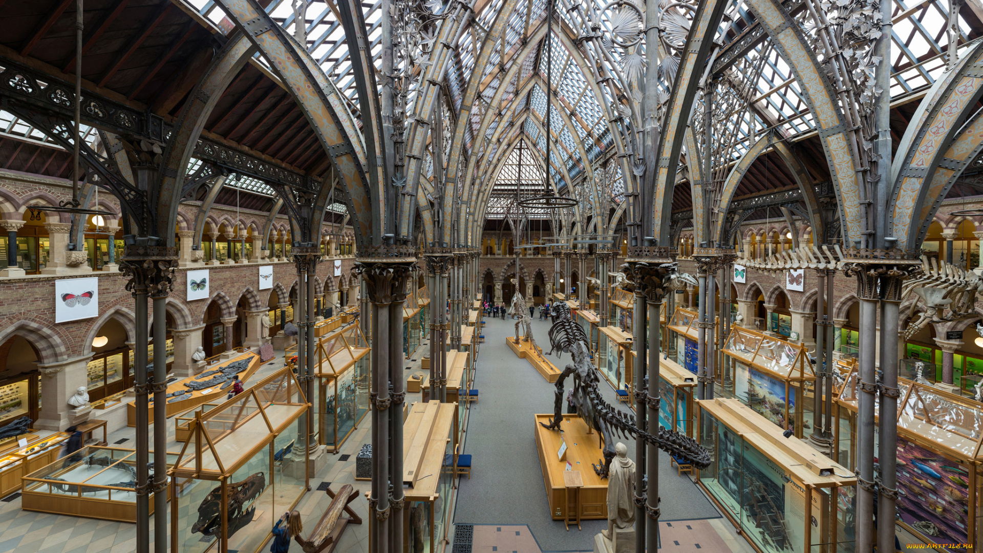 pitt, rivers, museum, , oxford, интерьер, дворцы, , музеи, музей