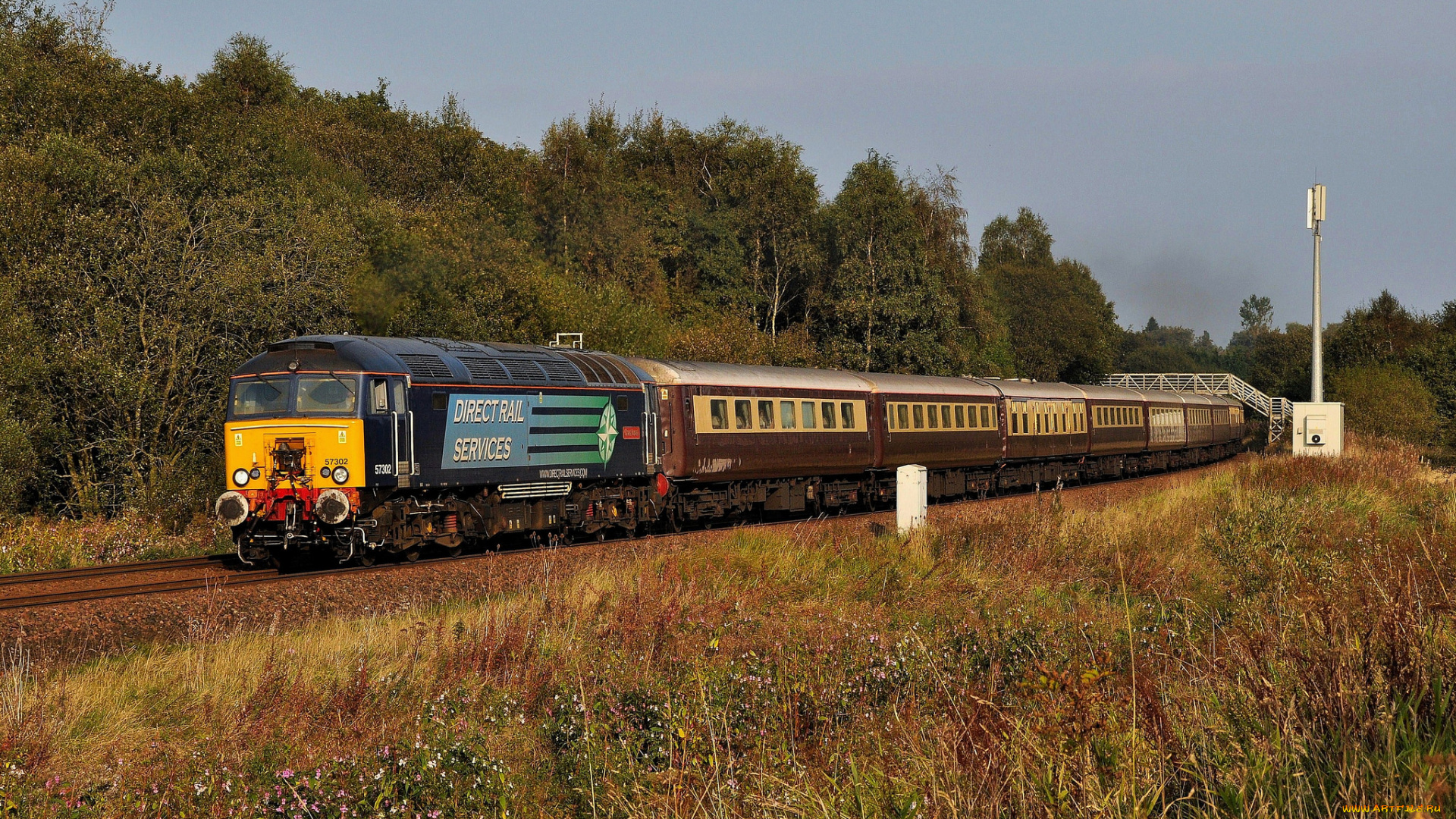 техника, поезда, железная, дорога, рельсы, локомотив, состав