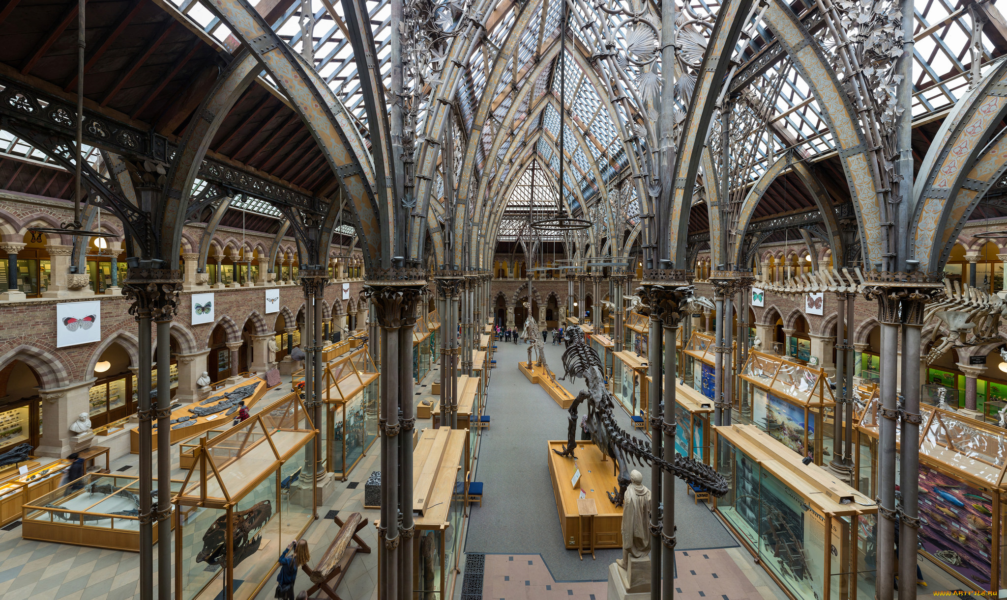 pitt, rivers, museum, , oxford, интерьер, дворцы, , музеи, музей