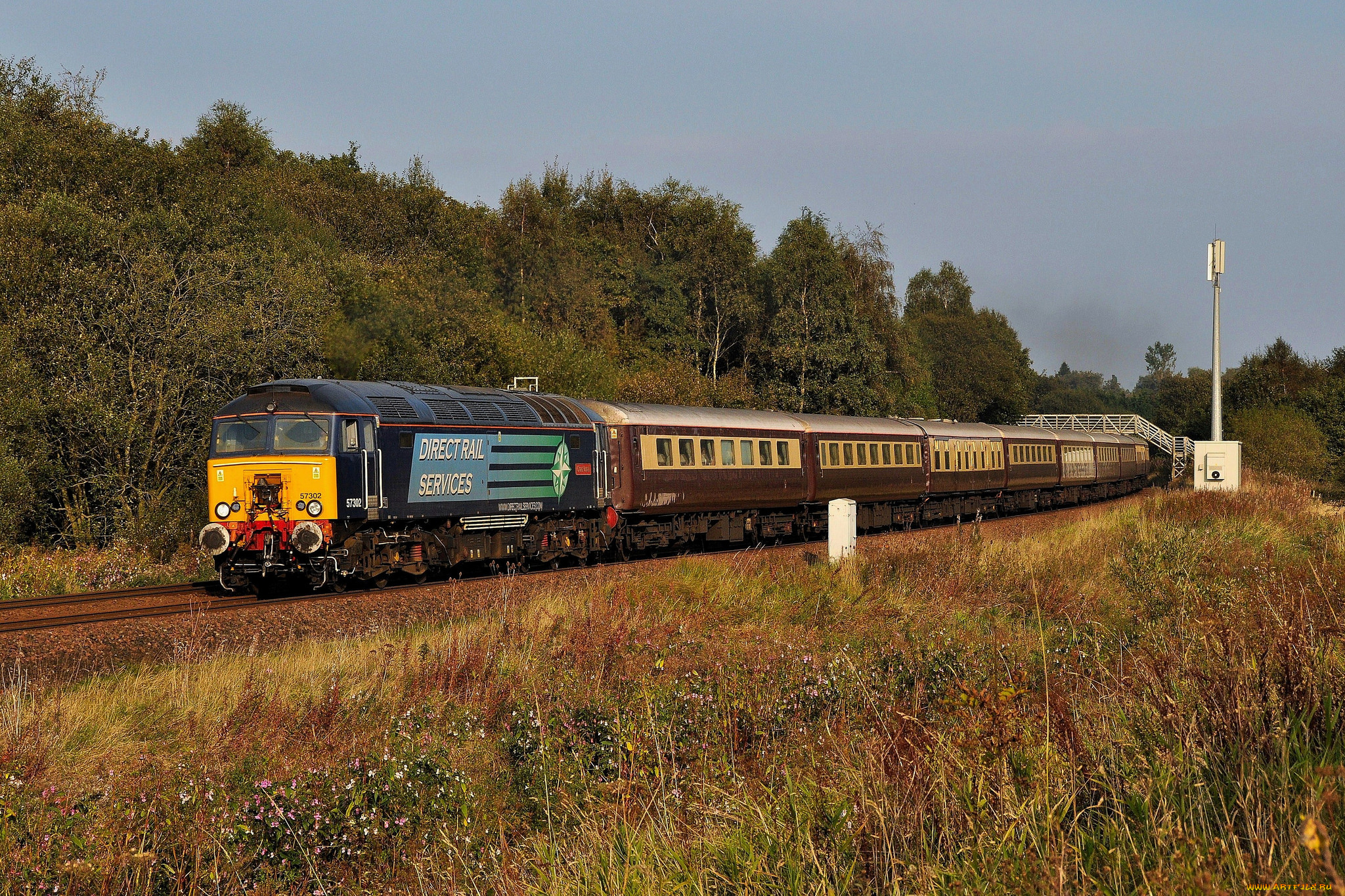 техника, поезда, железная, дорога, рельсы, локомотив, состав