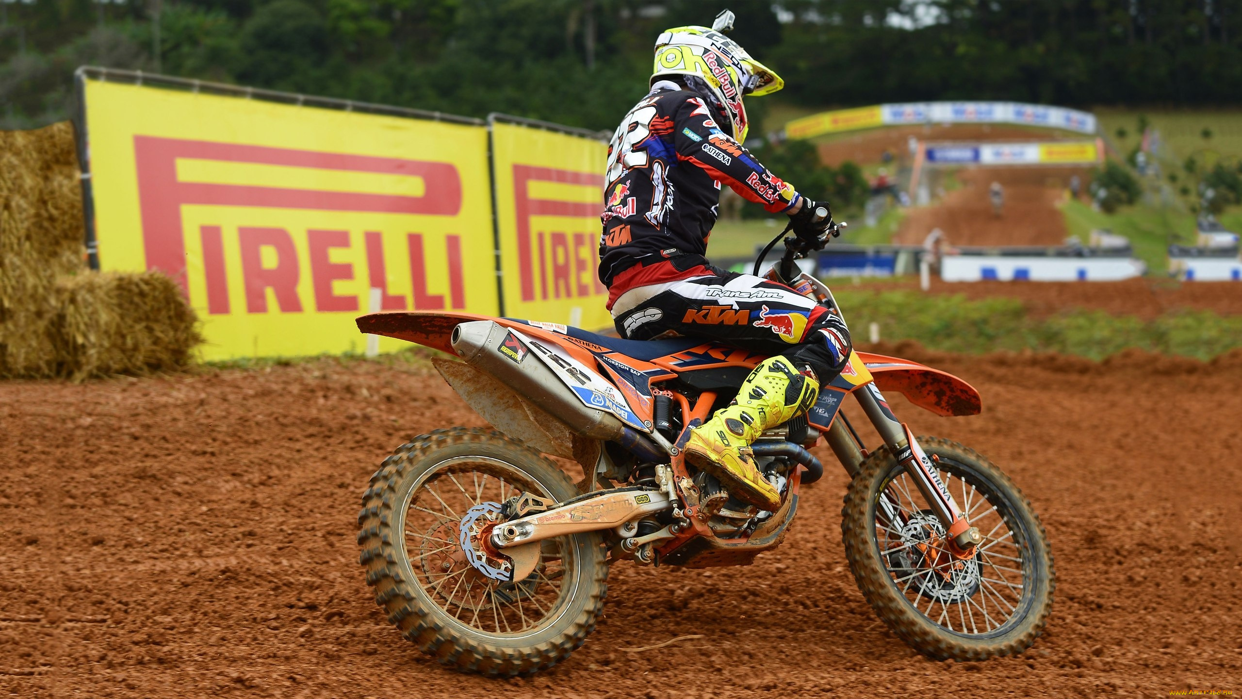 спорт, мотокросс, бразилия, team, red, bull, factory, ktm, antonio, cairoli, brazil, motocross