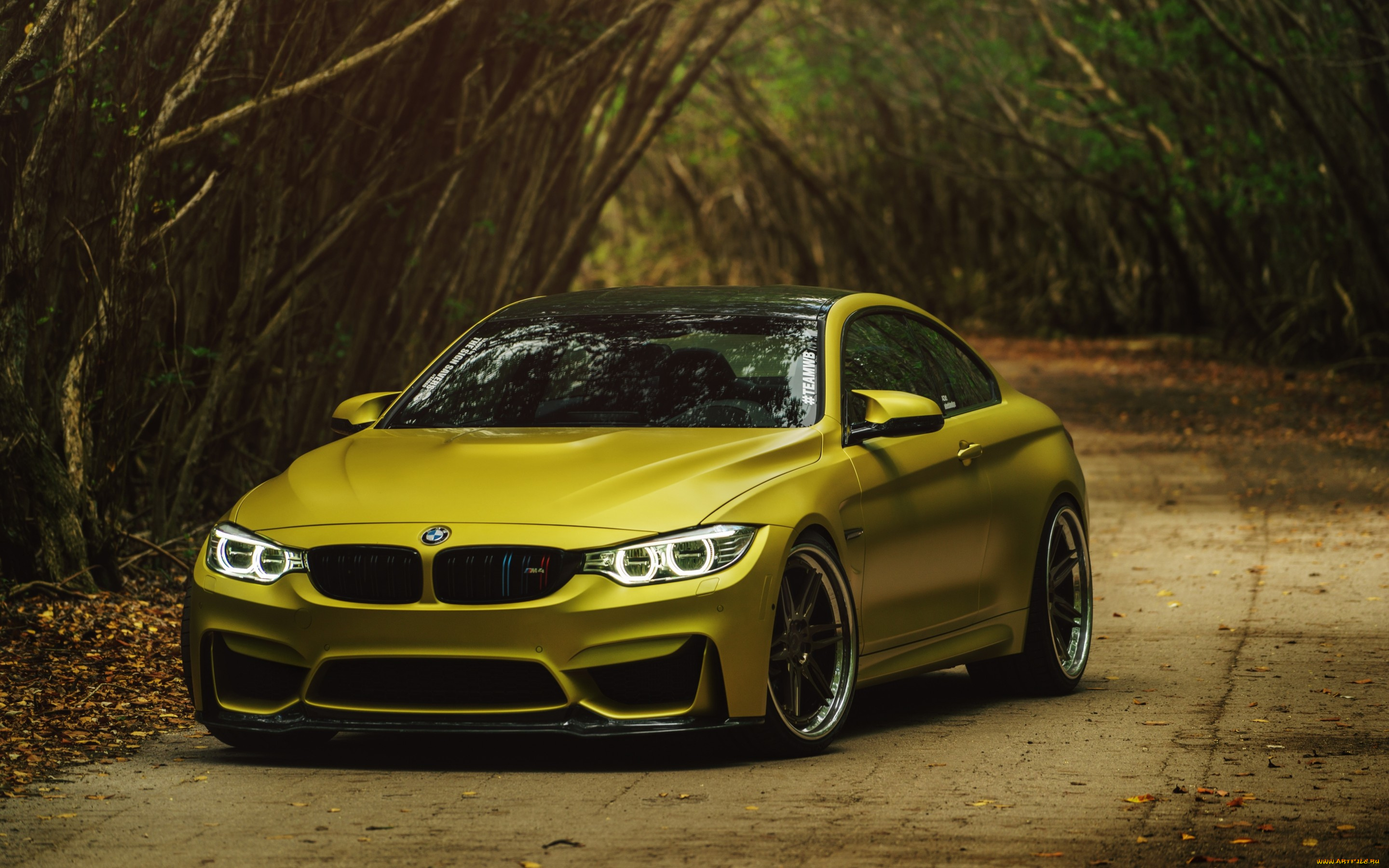 автомобили, bmw, m4, austin, yellow