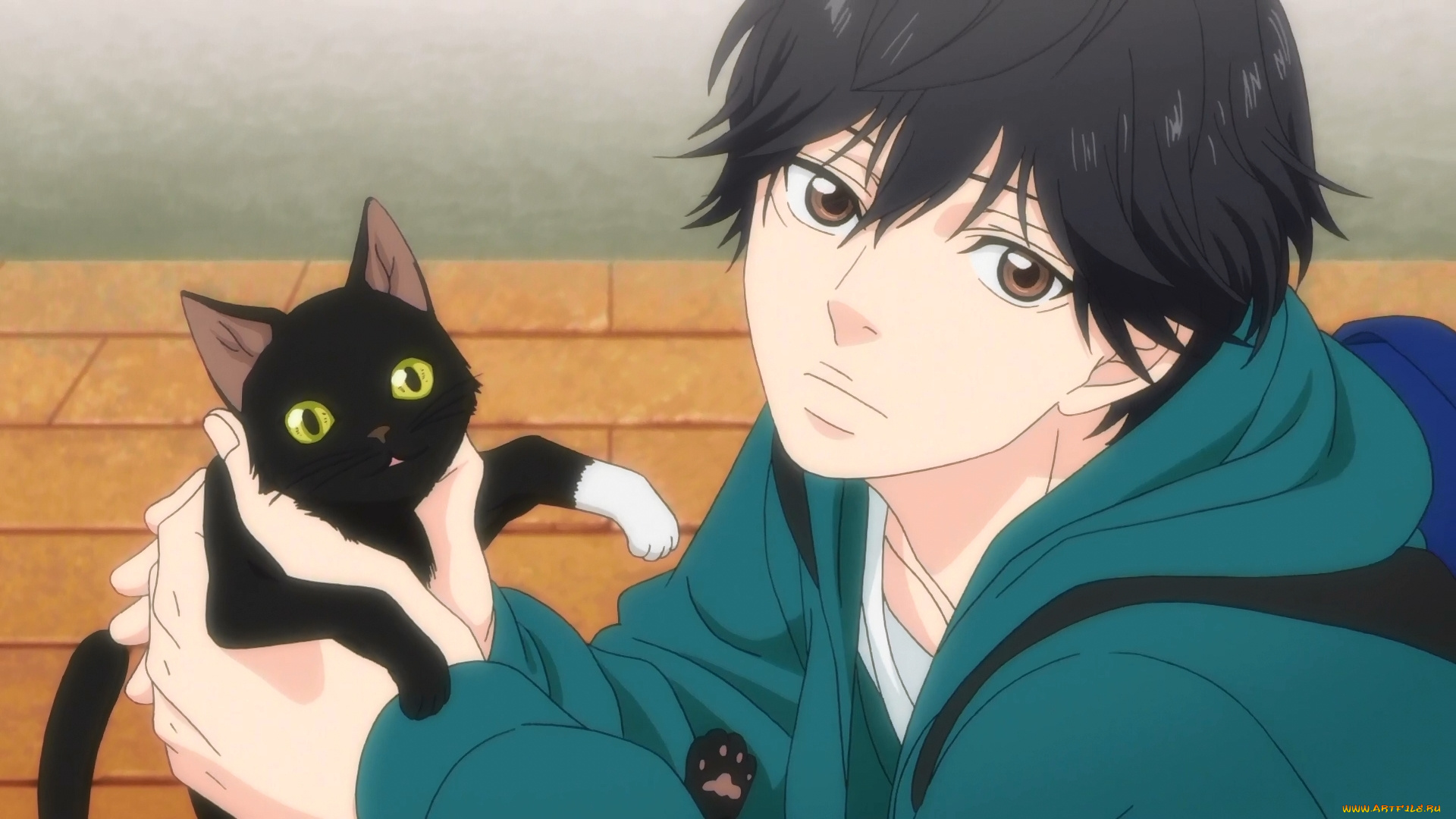 аниме, ao, haru, ride, ao, haru, ride, mabuchi, ko, screenshot, male, cat