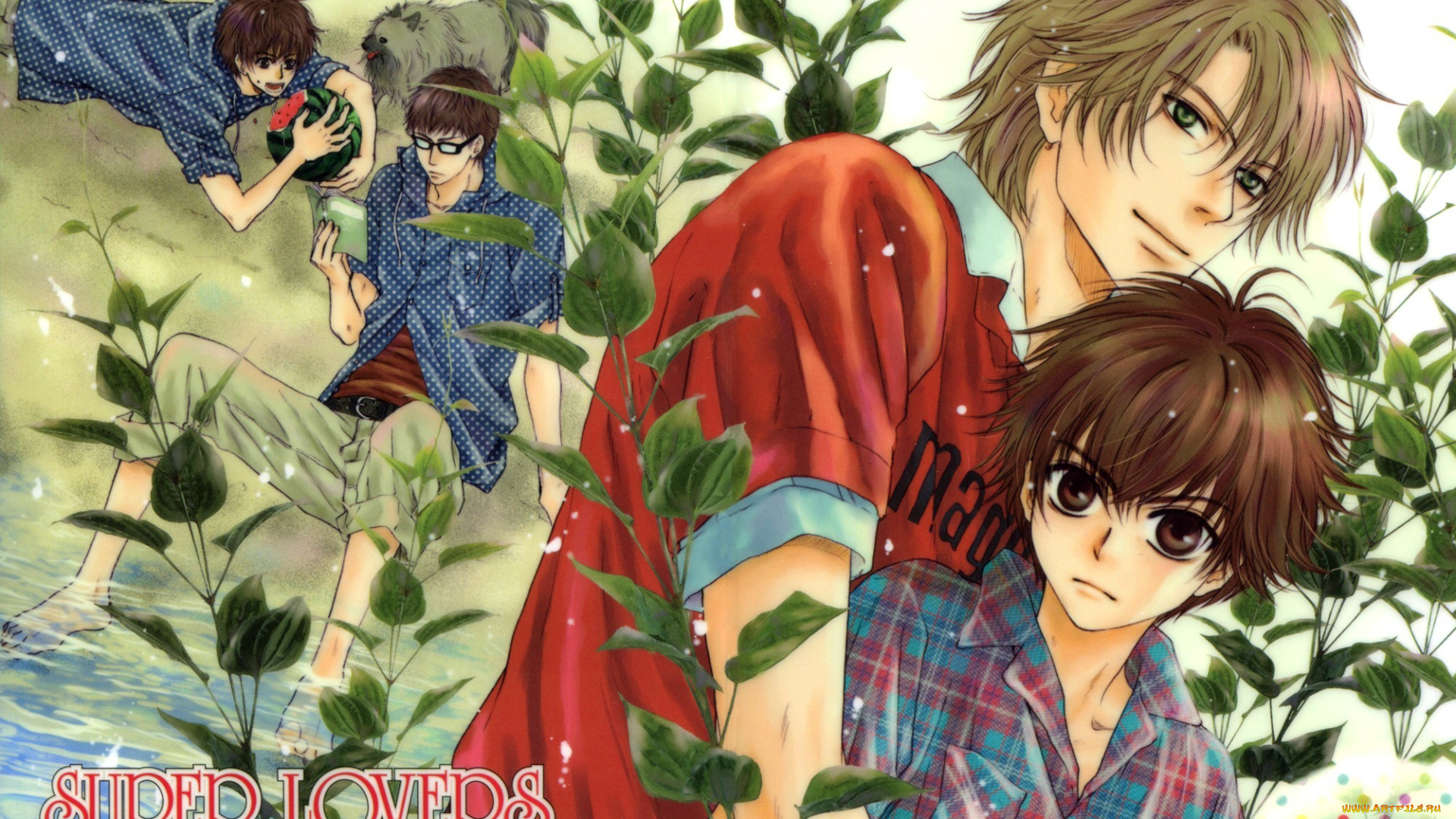 аниме, super, lovers, больше, чем, возлюбленные, парни