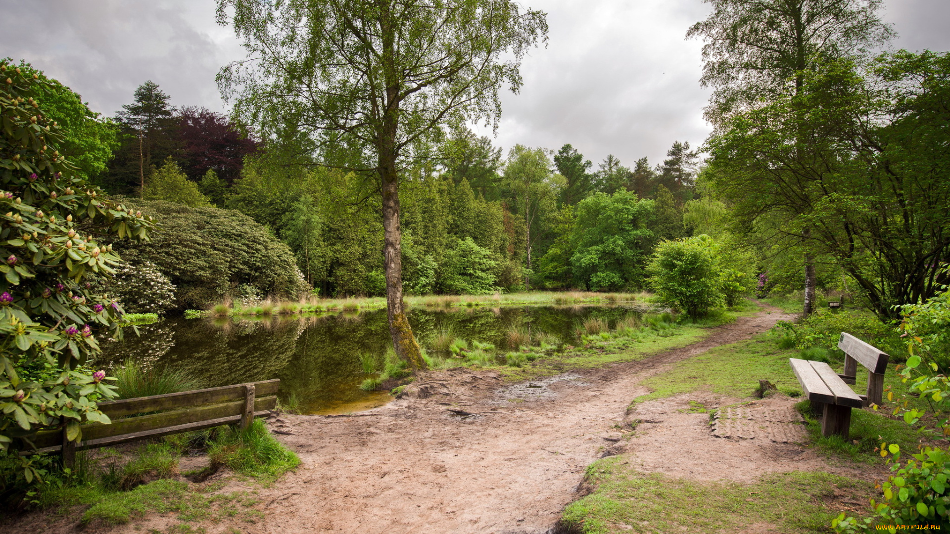 природа, реки, озера, скамья, река, парк