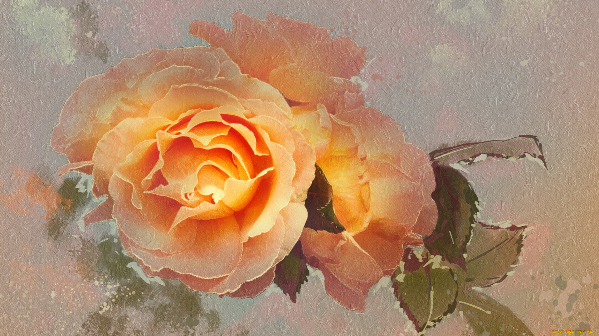 рисованное, цветы, роза, цветок, текстура