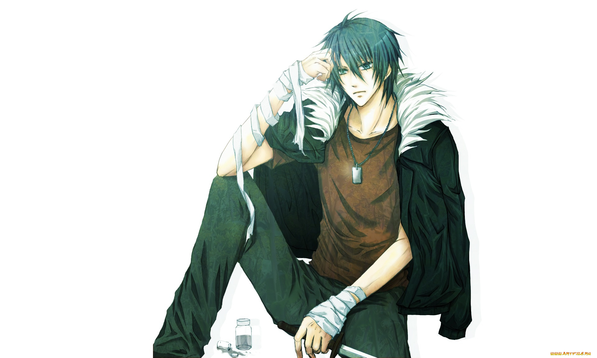 аниме, togainu, no, chi, акира