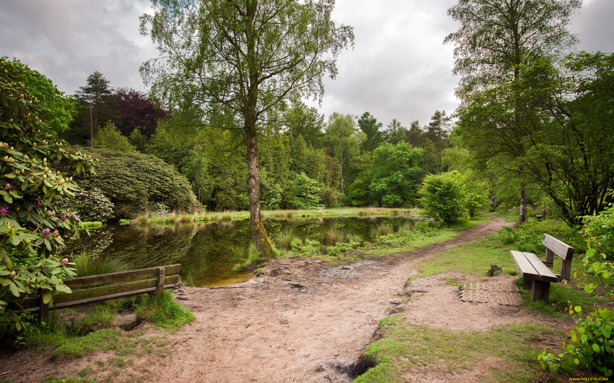 природа, реки, озера, скамья, река, парк