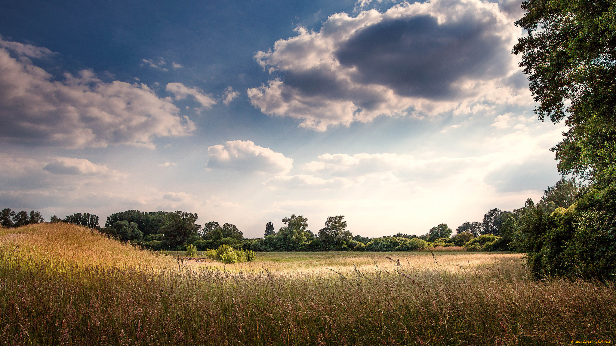 природа, пейзажи, лето