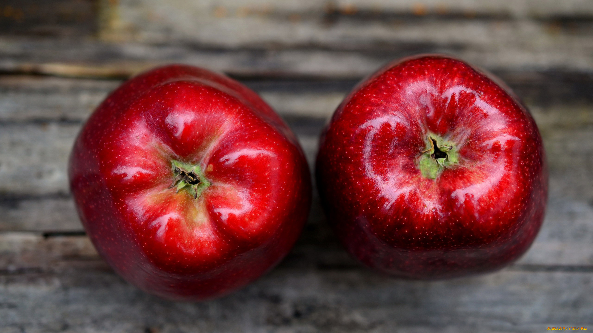 еда, Яблоки, дуэт