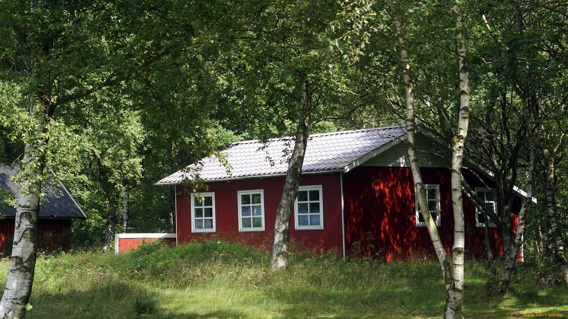 города, -, здания, , дома, трава, дом, березы