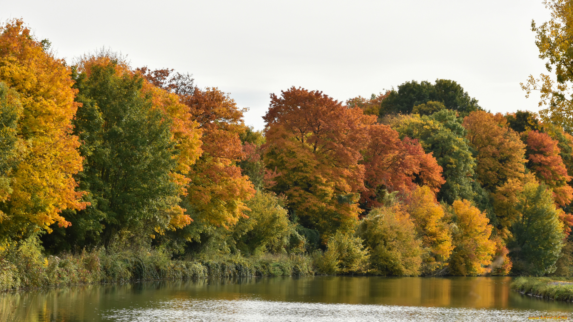 природа, реки, озера, осень
