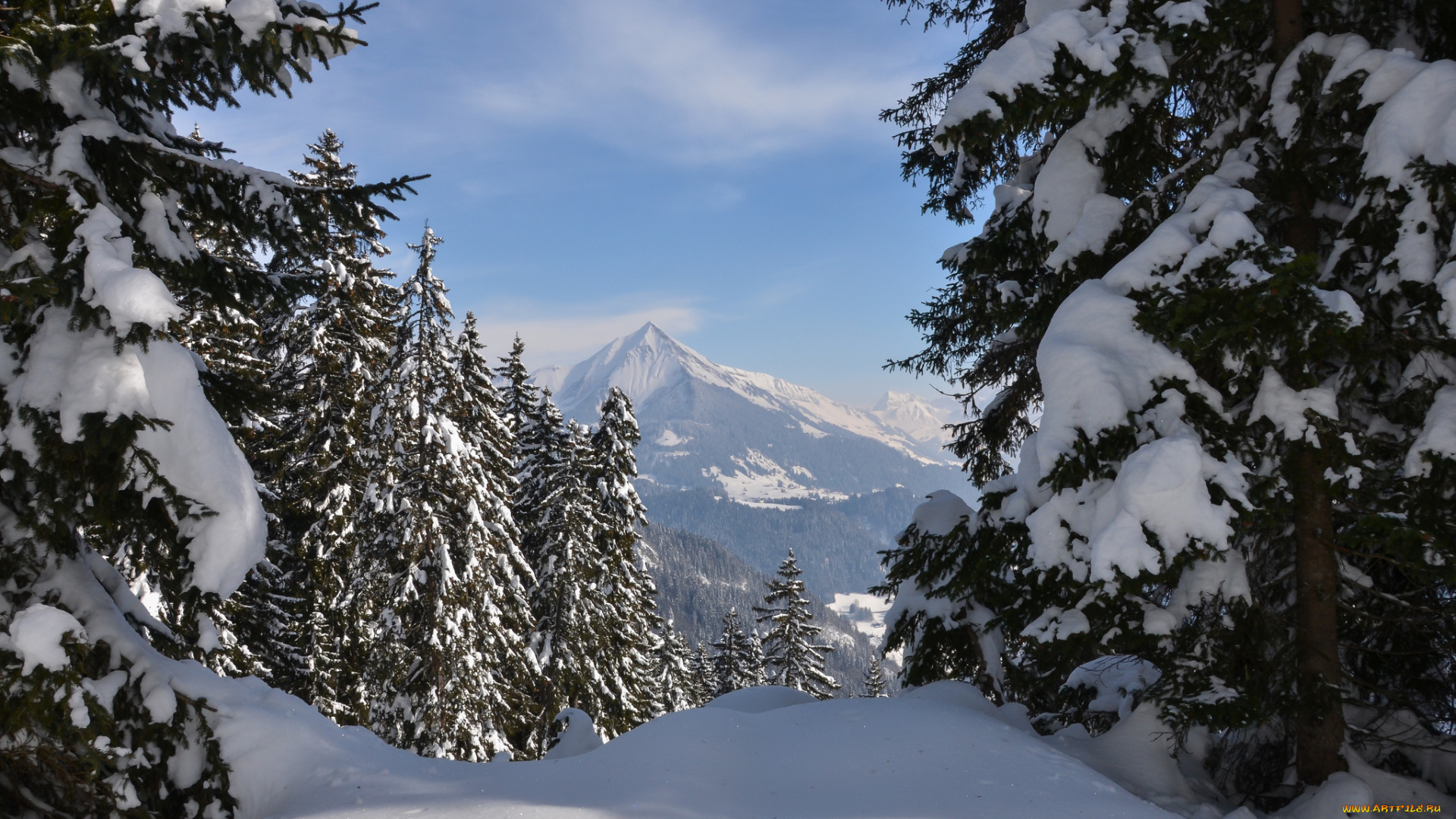 природа, зима