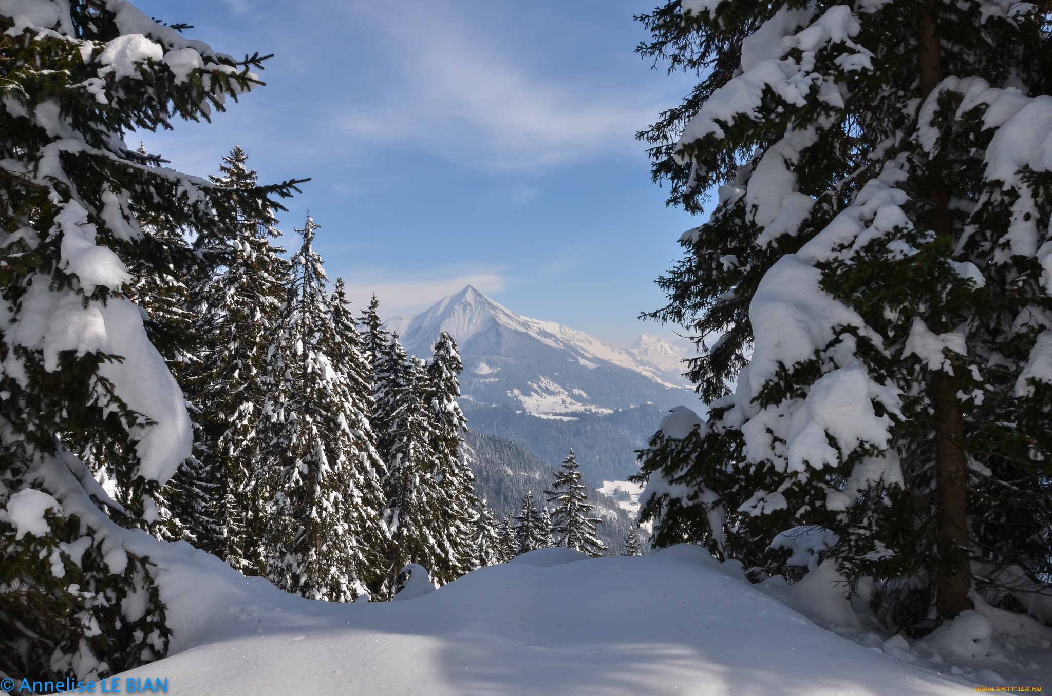 природа, зима