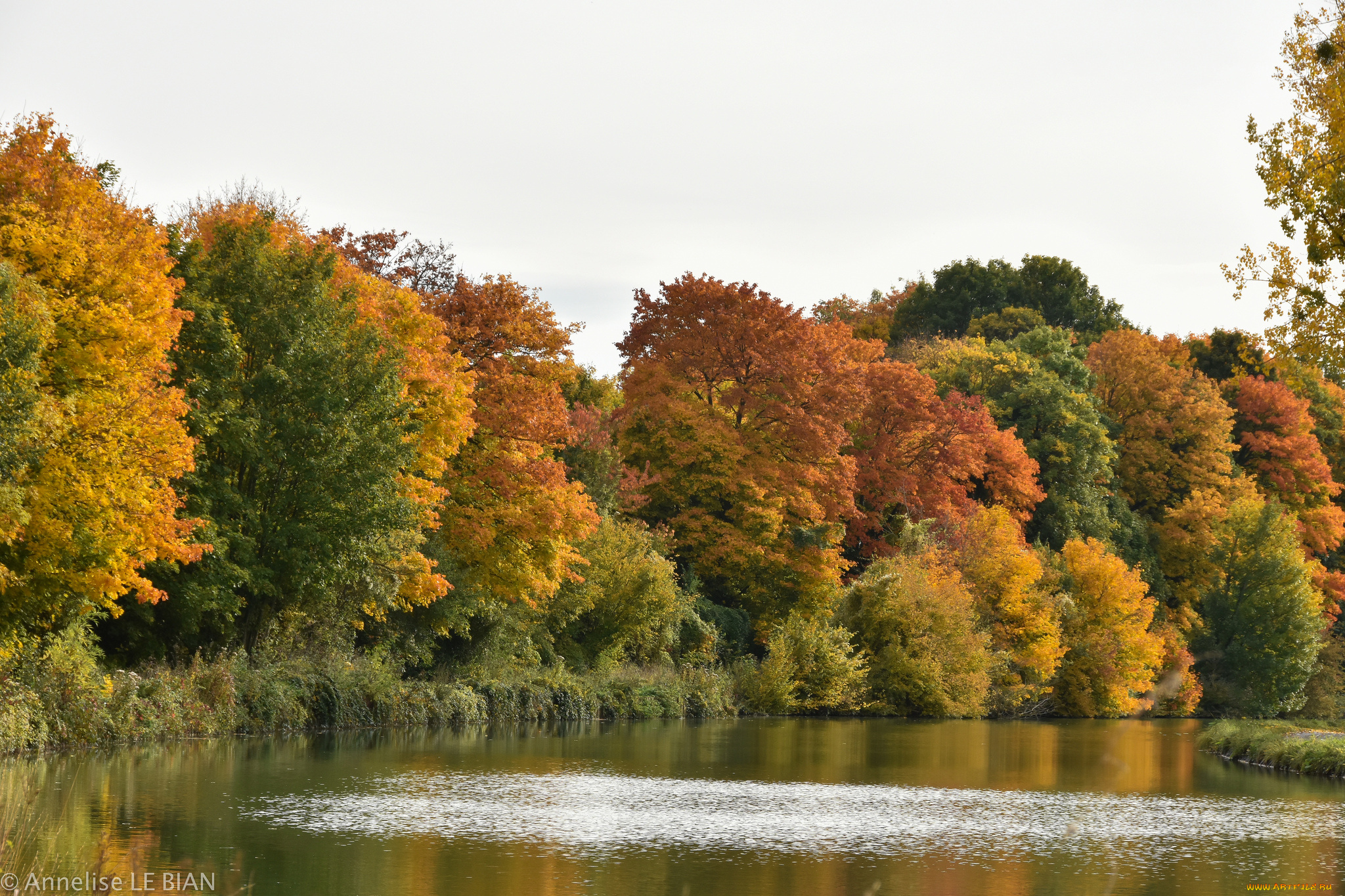 природа, реки, озера, осень
