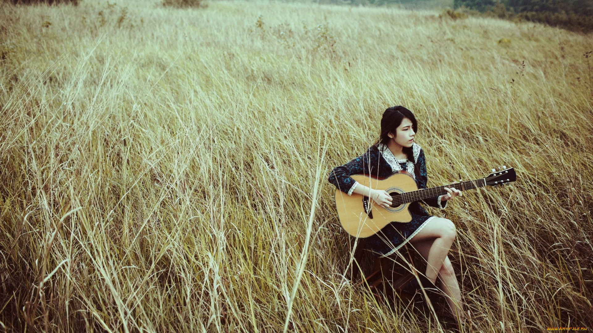 музыка, -другое, природа, растения, гитара, девушка