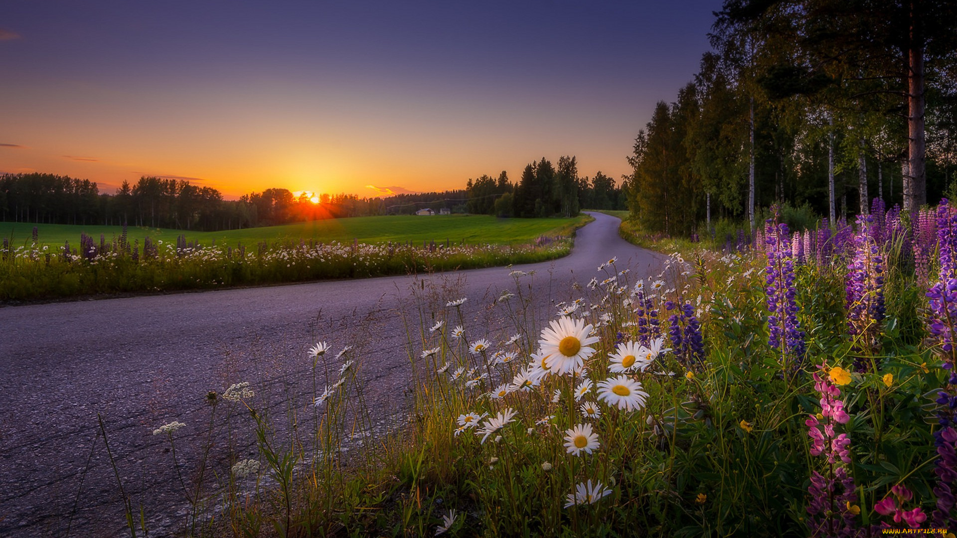 природа, дороги, простор